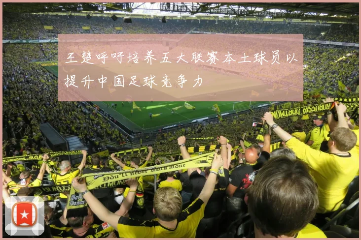 王楚呼吁培养五大联赛本土球员以提升中国足球竞争力