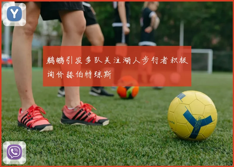 鹈鹕引发多队关注湖人步行者积极询价赫伯特琼斯