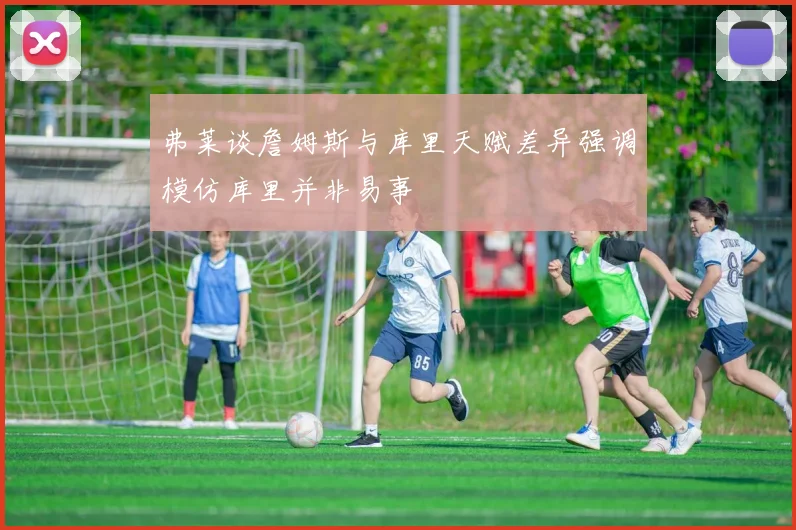 弗莱谈詹姆斯与库里天赋差异强调模仿库里并非易事